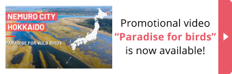 Promotional video “Paradise for birds” is now available!