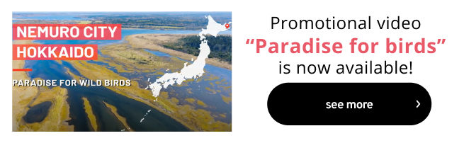 Promotional video “Paradise for birds” is now available!