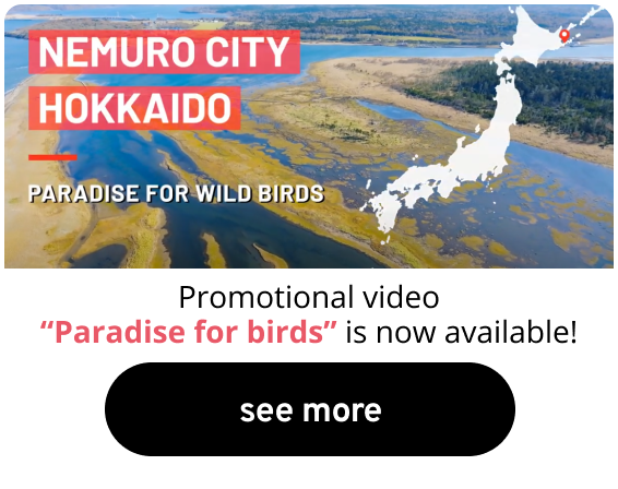 Promotional video “Paradise for birds” is now available!